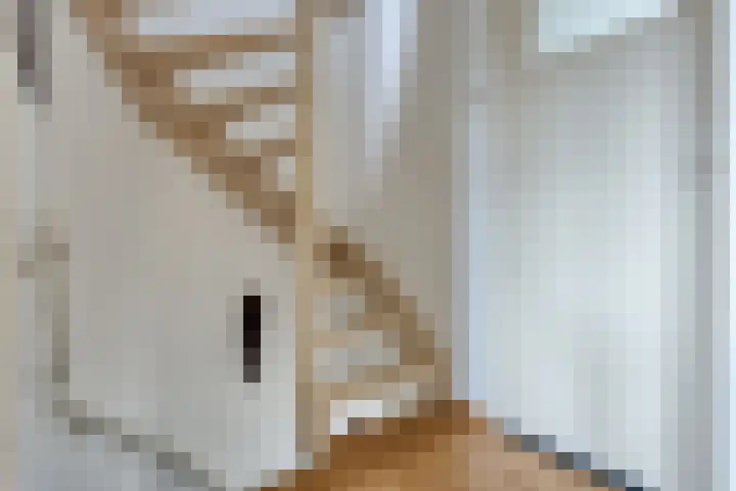 Crijnssenstraat 17 Veghel thumbnail 22