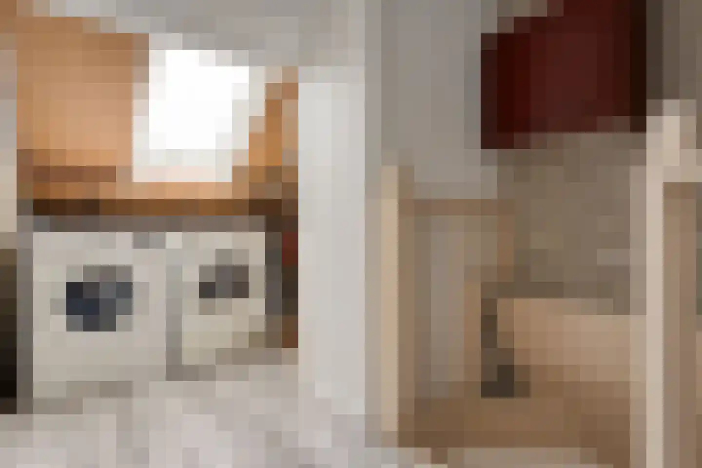 Crijnssenstraat 17 Veghel thumbnail 23