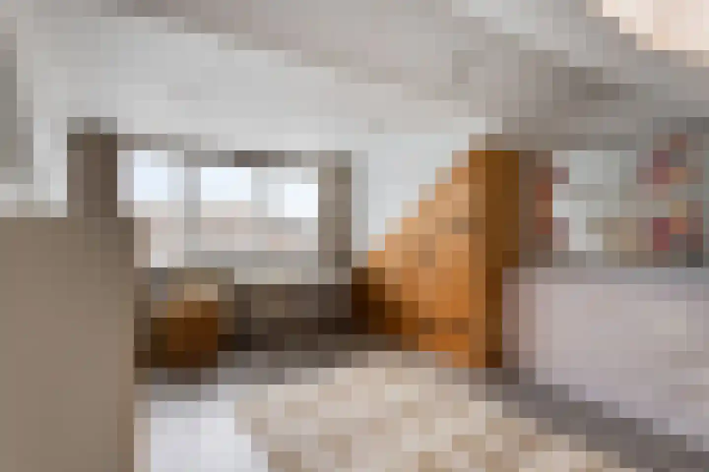 Crijnssenstraat 17 Veghel thumbnail 24