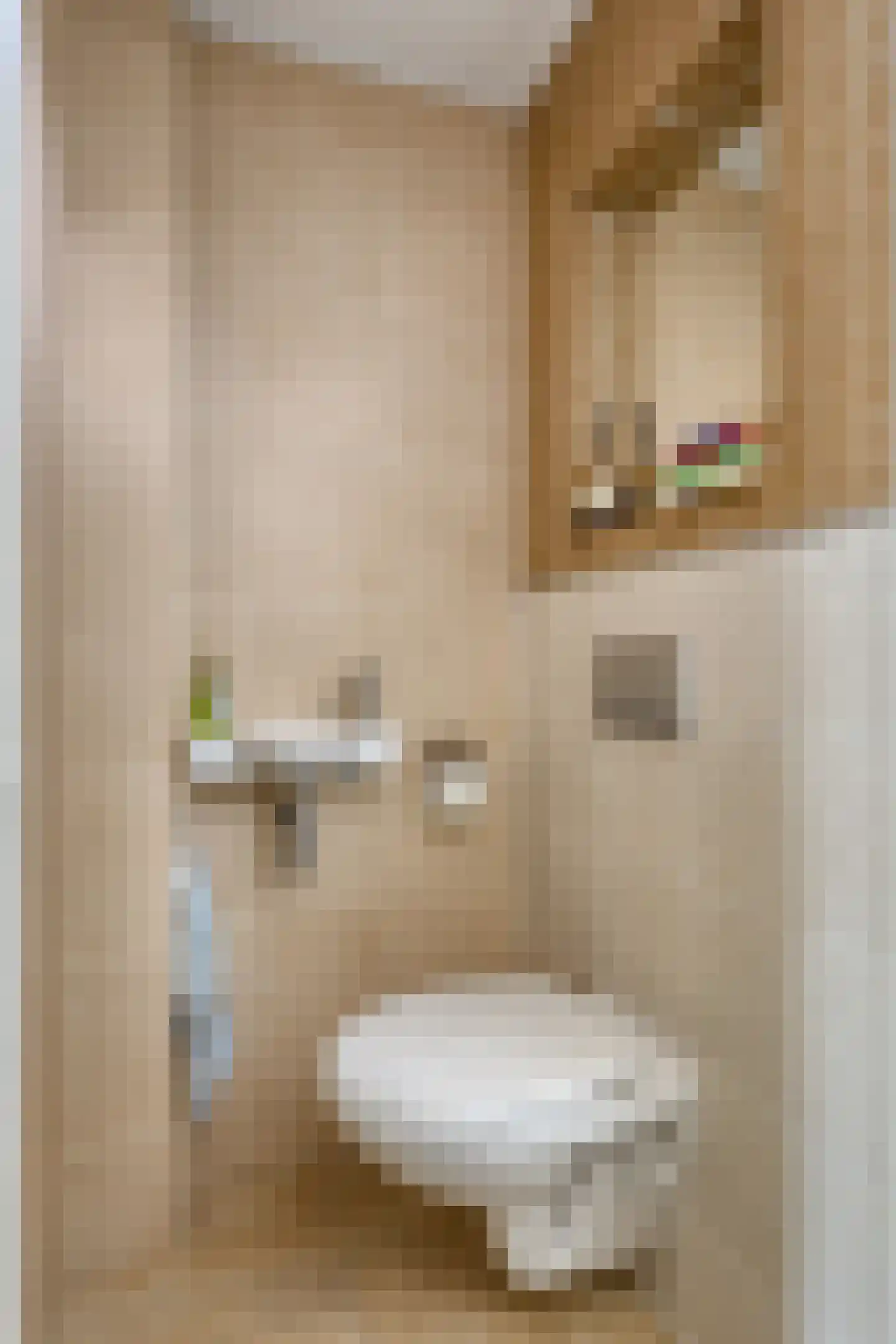 Crijnssenstraat 17 Veghel thumbnail 7