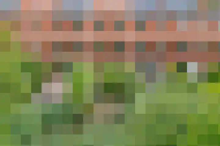 Crijnssenstraat 9 Amersfoort thumbnail 33