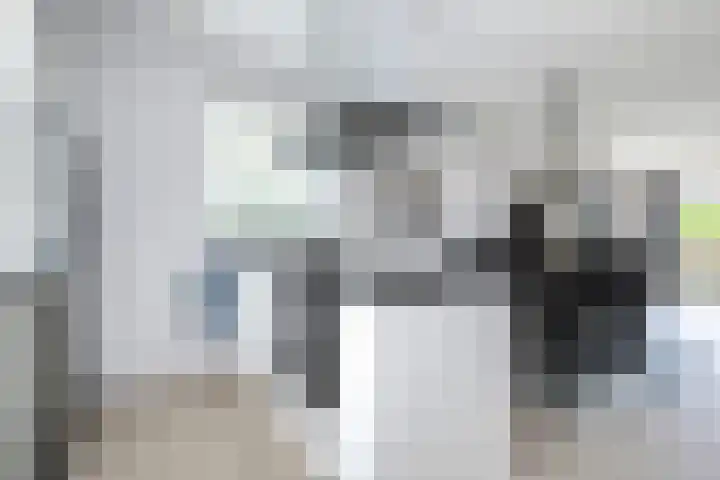 Crispijn 32 Oude-Tonge thumbnail 11