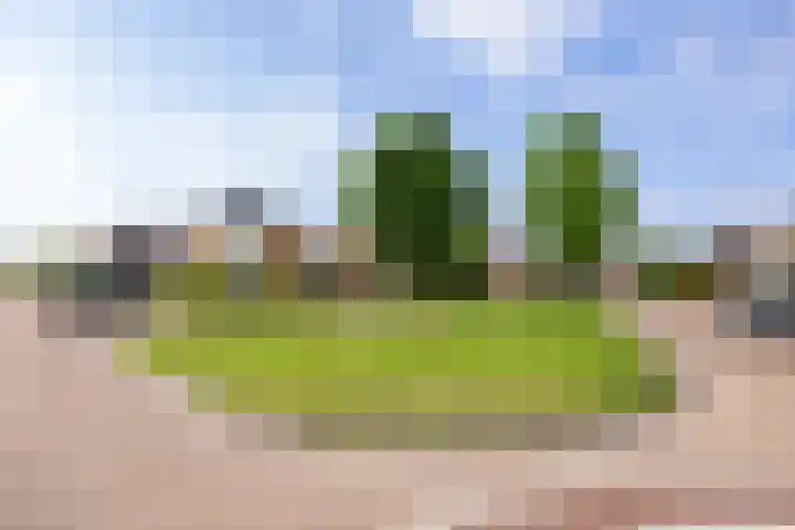 Crispijn 32 Oude-Tonge thumbnail 27