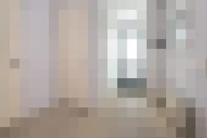 Crispijn 32 Oude-Tonge thumbnail 4