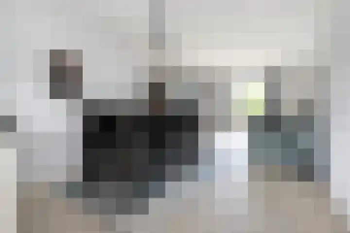 Crispijn 32 Oude-Tonge thumbnail 8