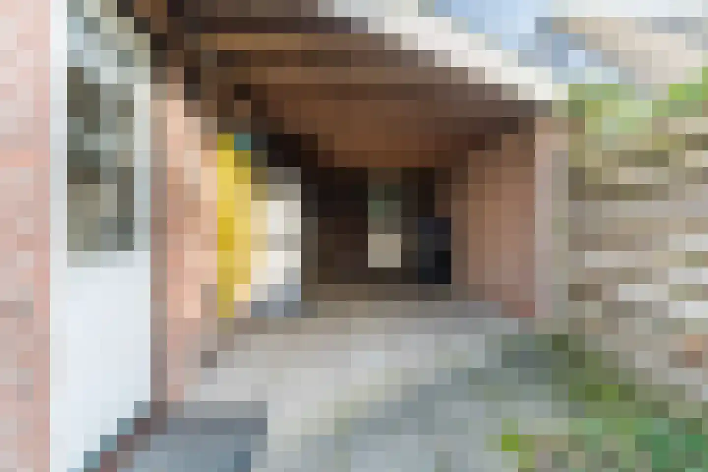Crispijnhof 14 Dongen thumbnail 24