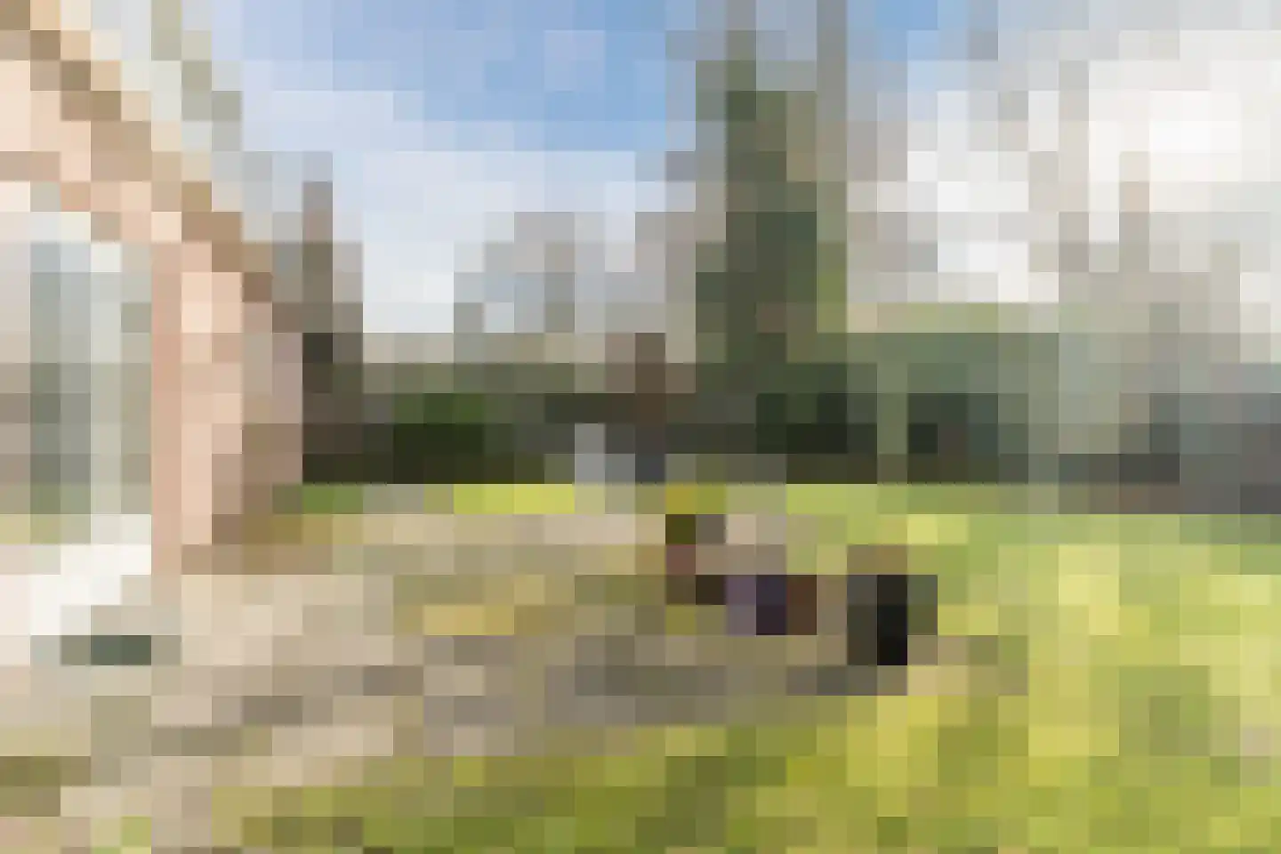 Crispijnhof 14 Dongen thumbnail 28