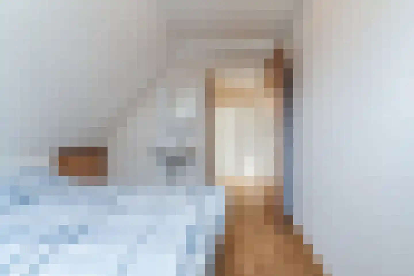 Crispijnhof 14 Dongen thumbnail 39