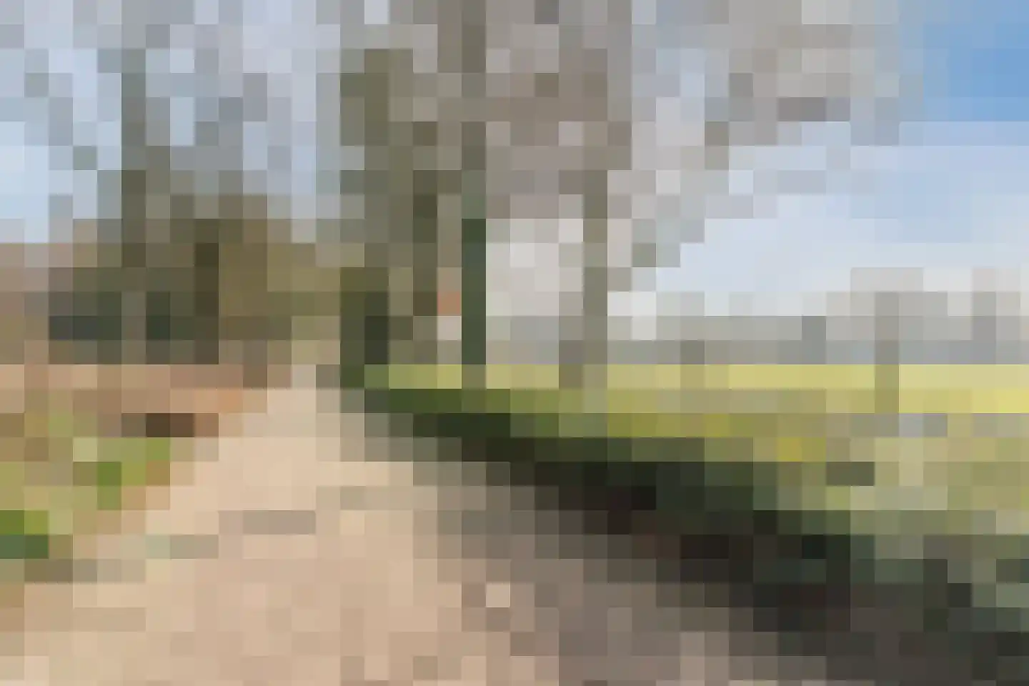 Crispijnhof 14 Dongen thumbnail 46