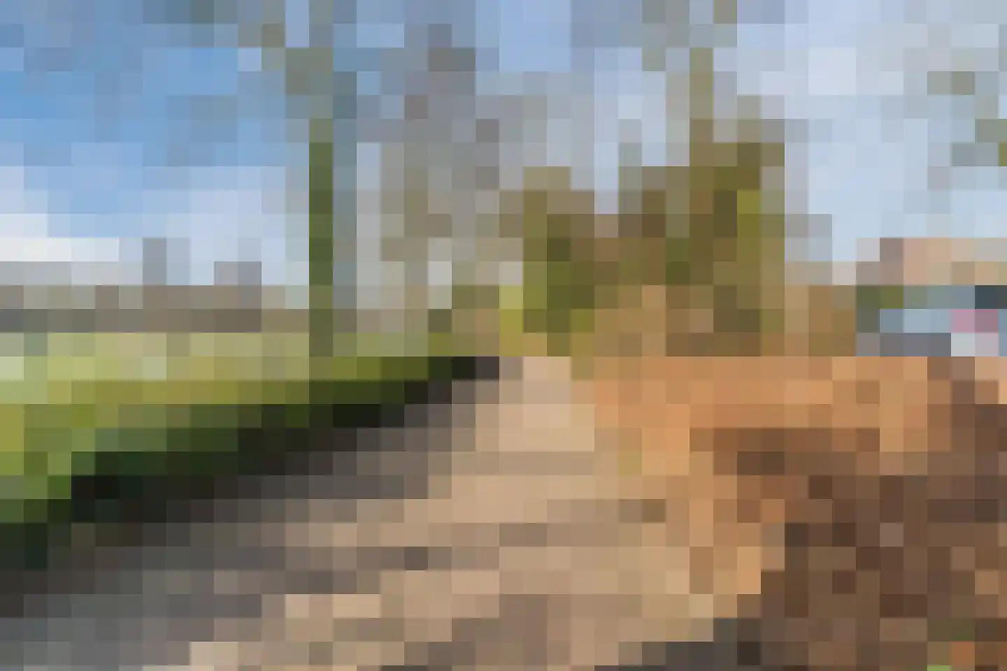 Crispijnhof 14 Dongen thumbnail 47