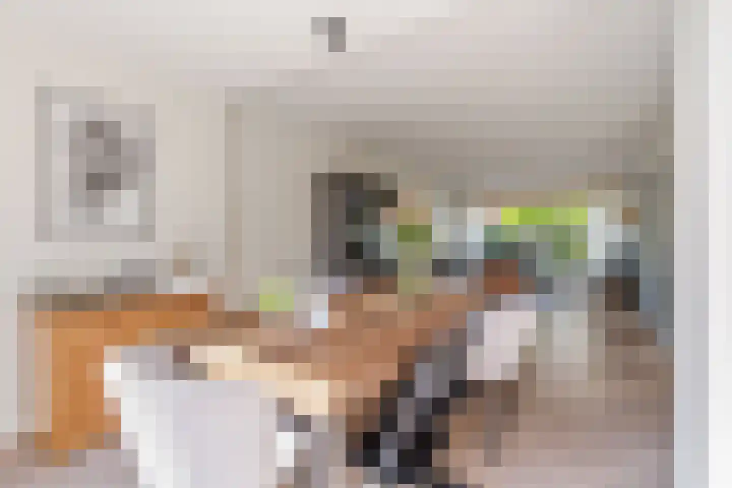 Crispijnhof 21 Breda thumbnail 11