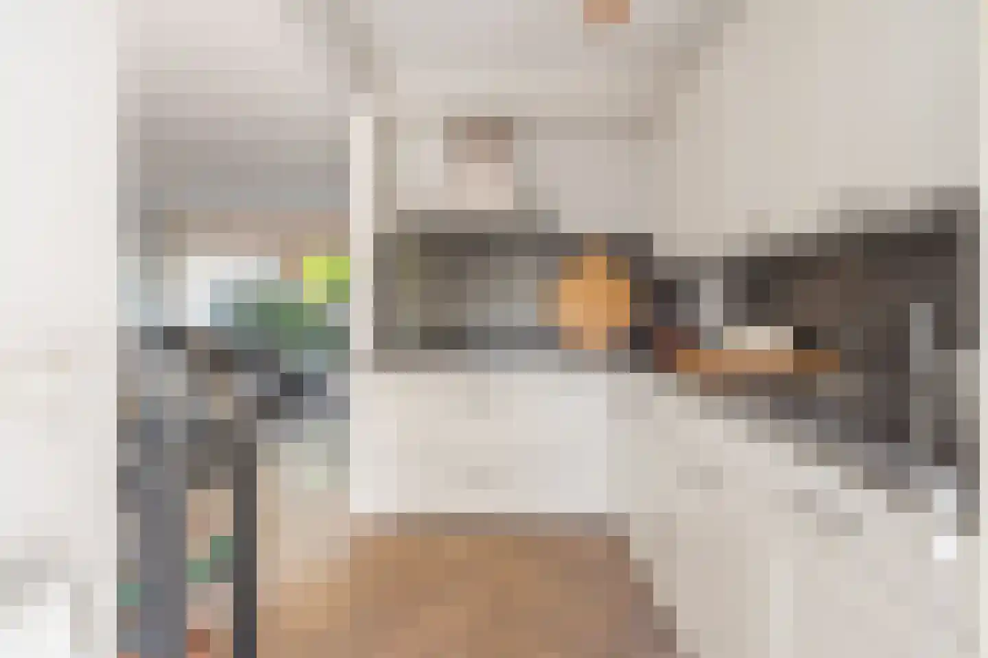 Crispijnhof 21 Breda thumbnail 19
