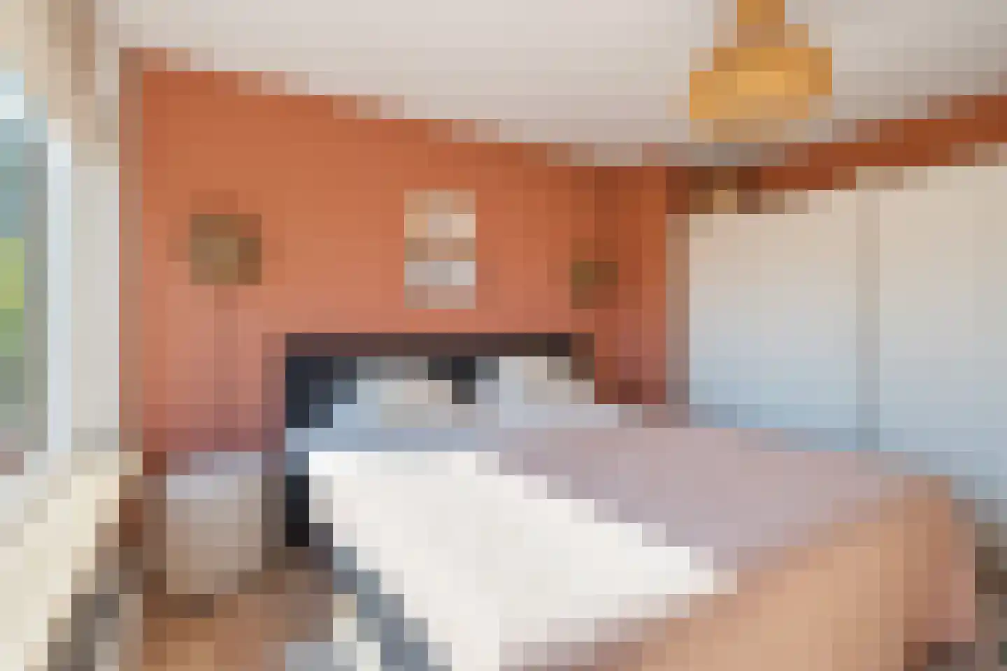 Crispijnhof 21 Breda thumbnail 23