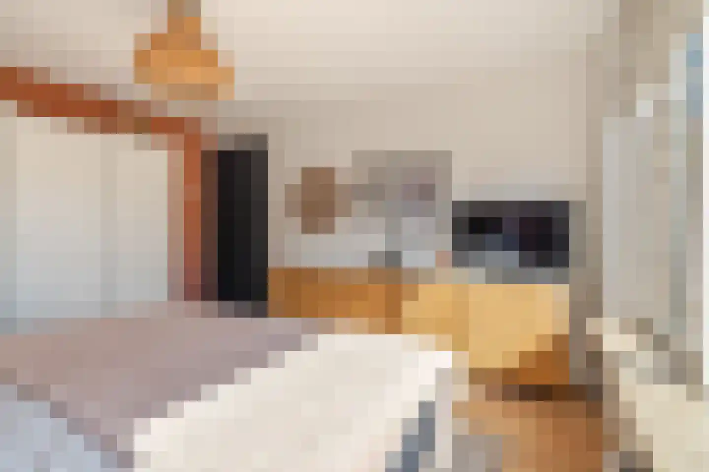 Crispijnhof 21 Breda thumbnail 24