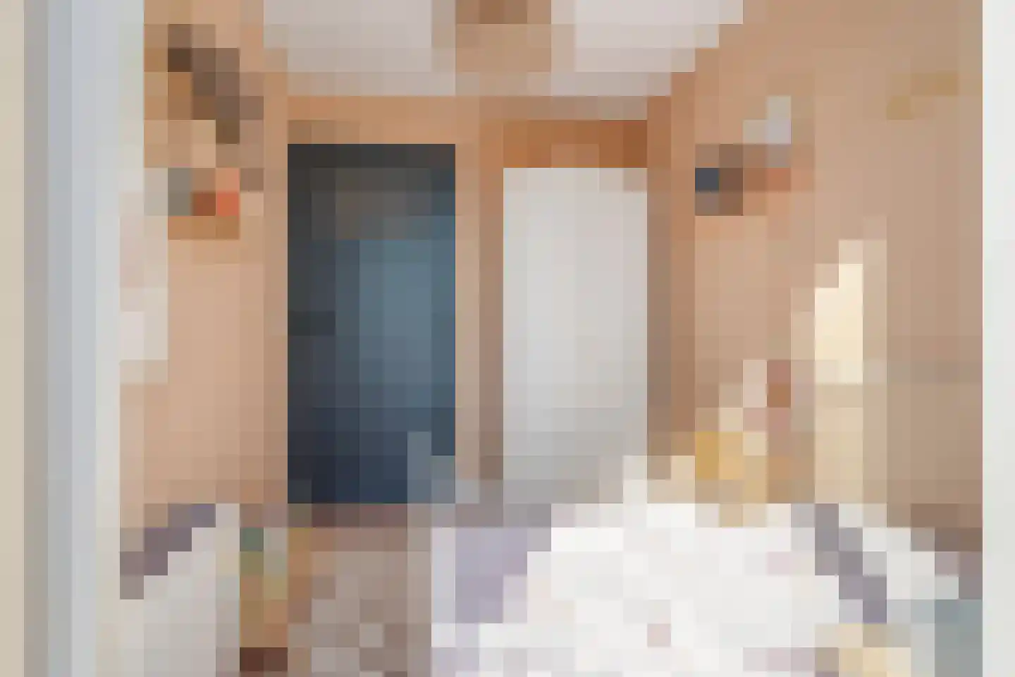 Crispijnhof 21 Breda thumbnail 26
