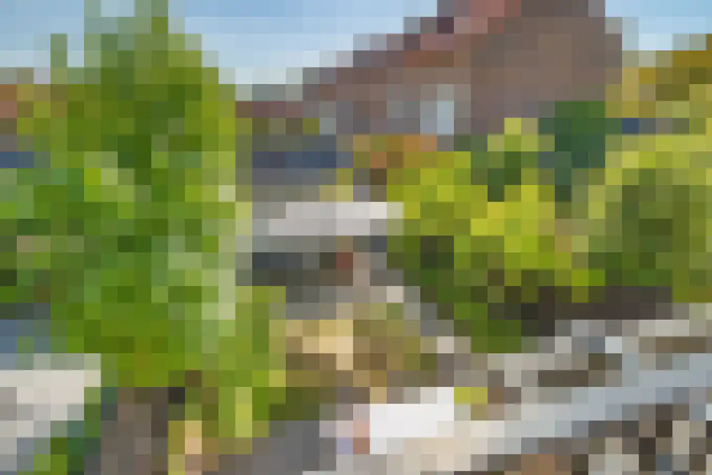 Crispijnhof 21 Breda thumbnail 28