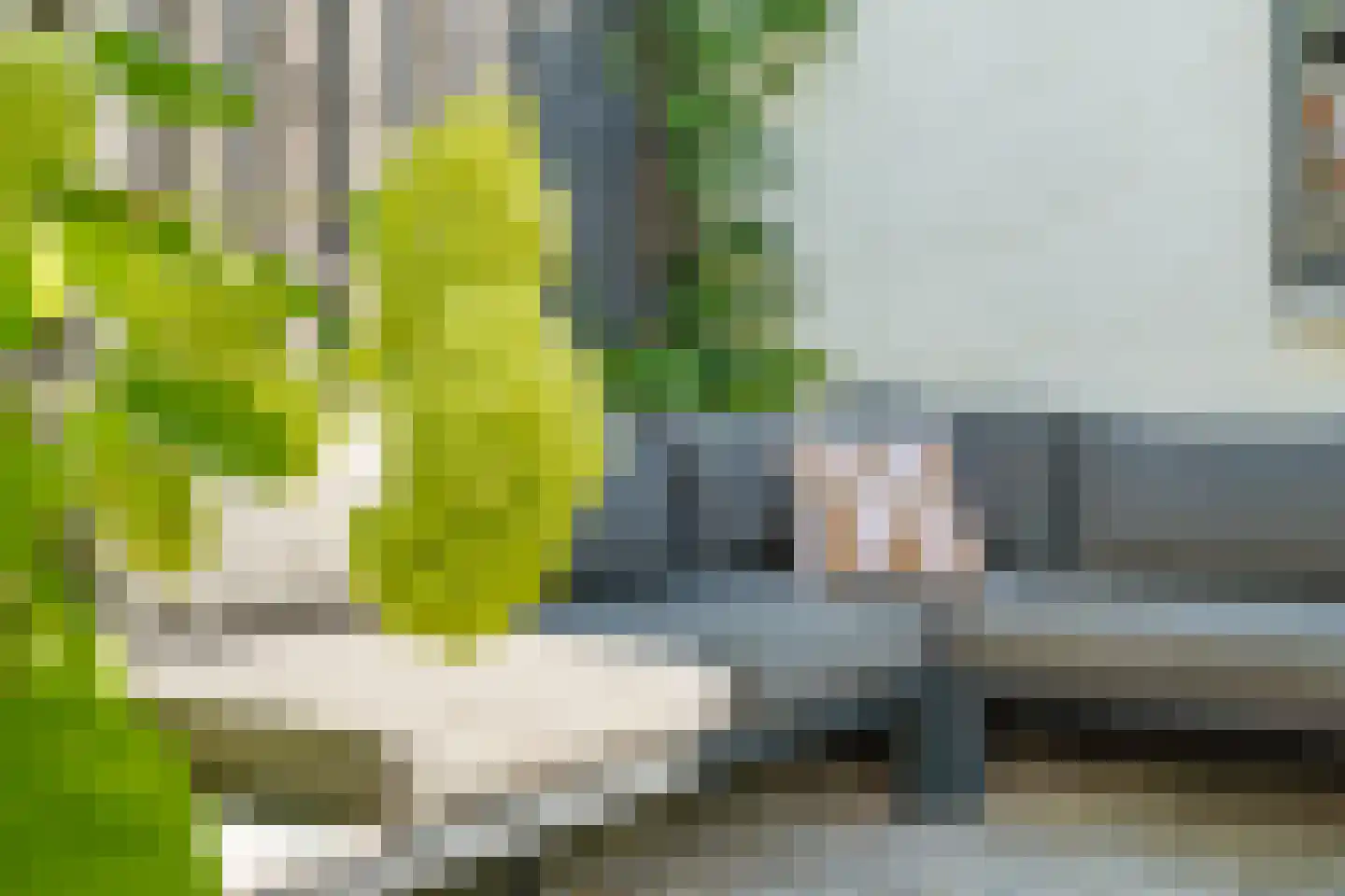Crispijnhof 21 Breda thumbnail 40