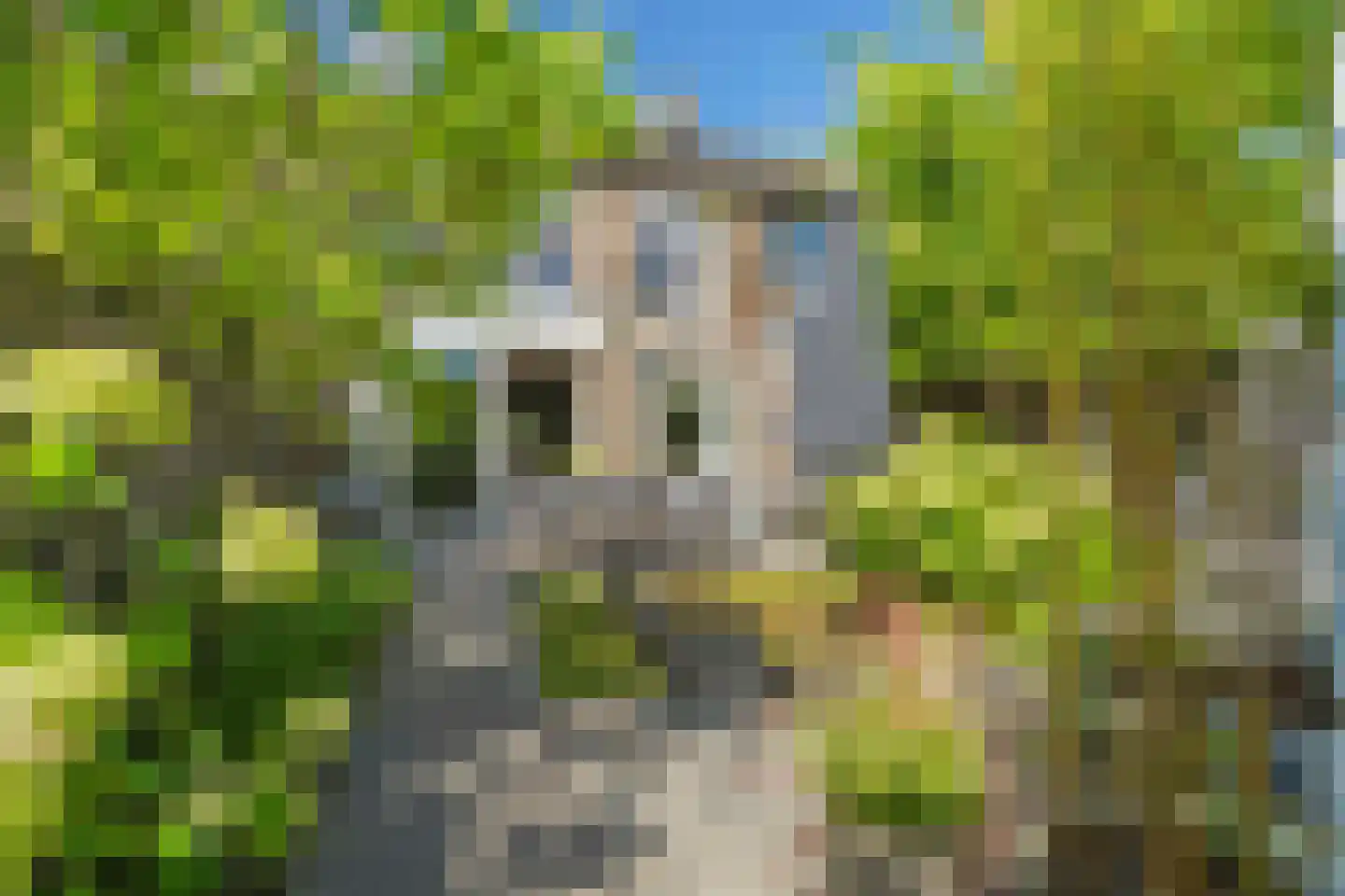 Crispijnhof 21 Breda thumbnail 42