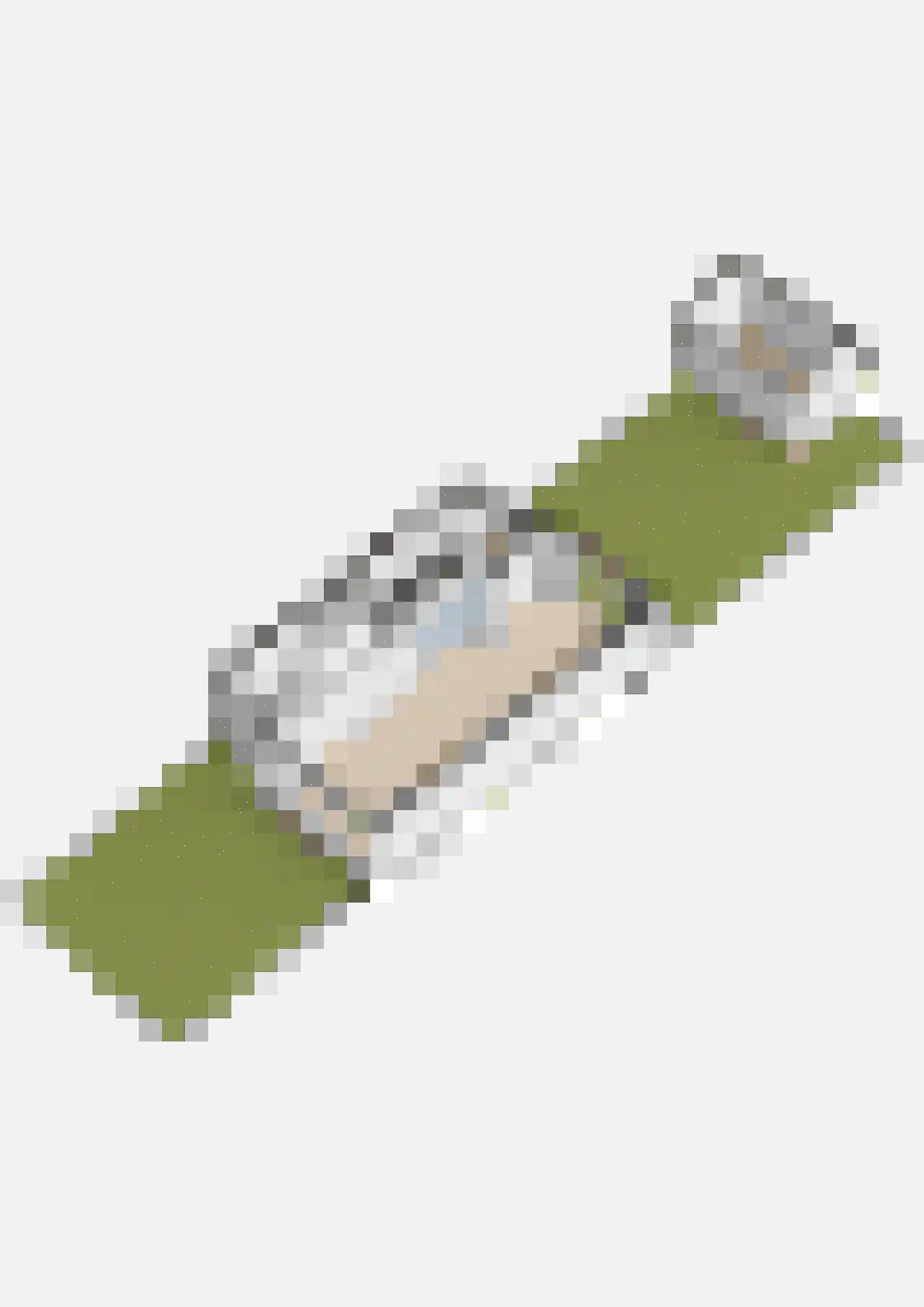 Crispijnhof 21 Breda thumbnail 60