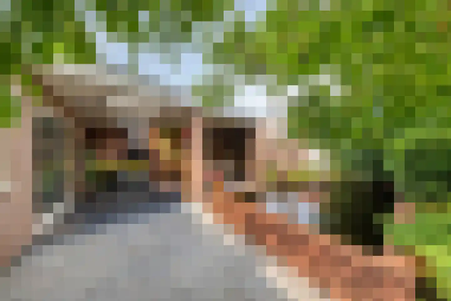 Crispijnstraat 1 Kaatsheuvel thumbnail 56