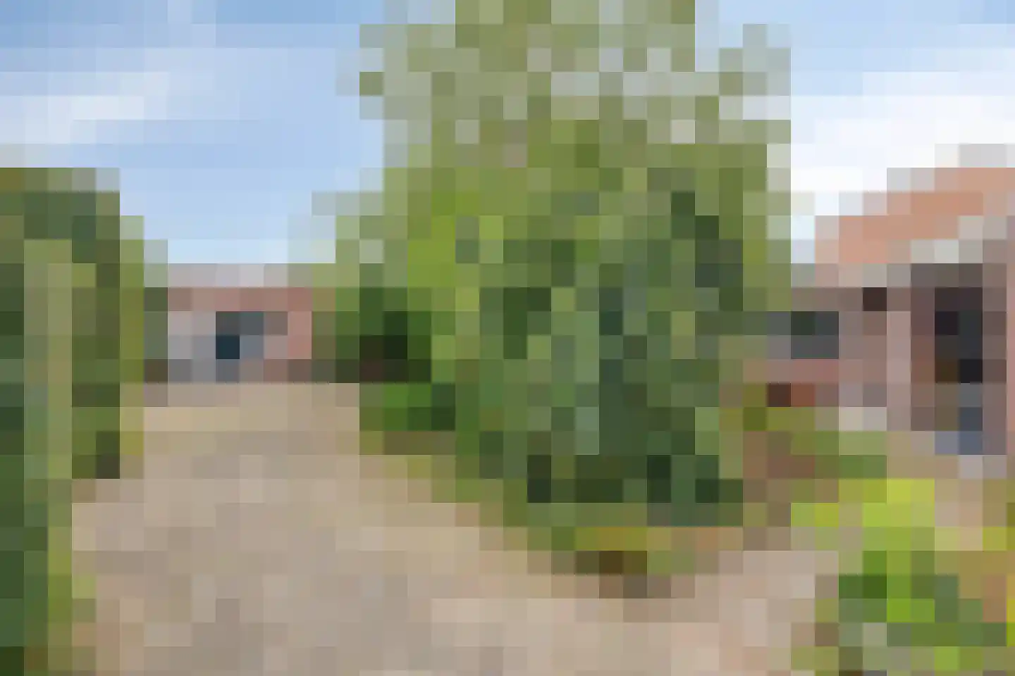 Crispijnstraat 1 Kaatsheuvel thumbnail 60