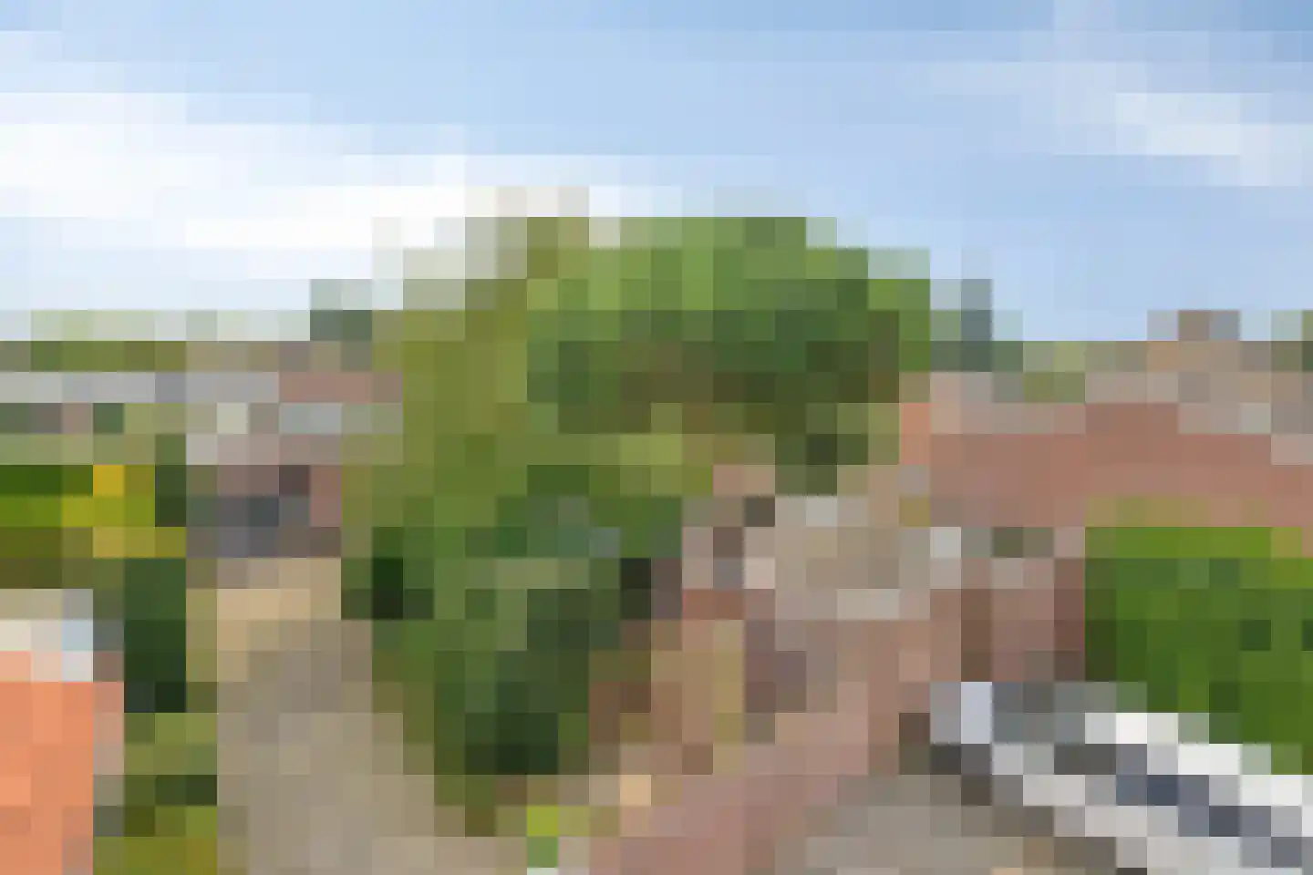 Crispijnstraat 1 Kaatsheuvel thumbnail 67