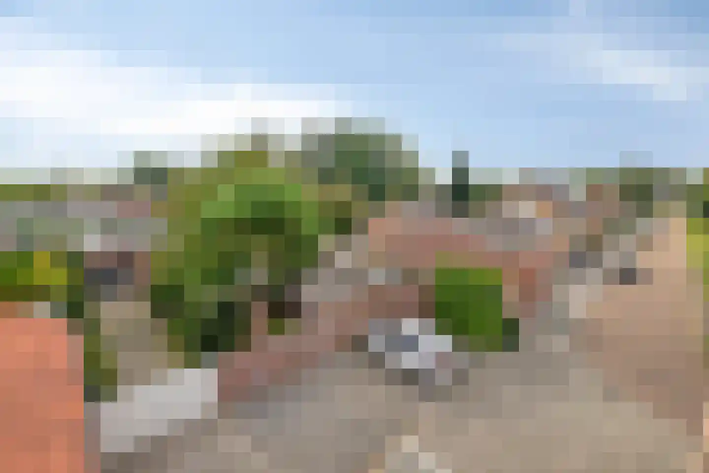 Crispijnstraat 1 Kaatsheuvel thumbnail 7