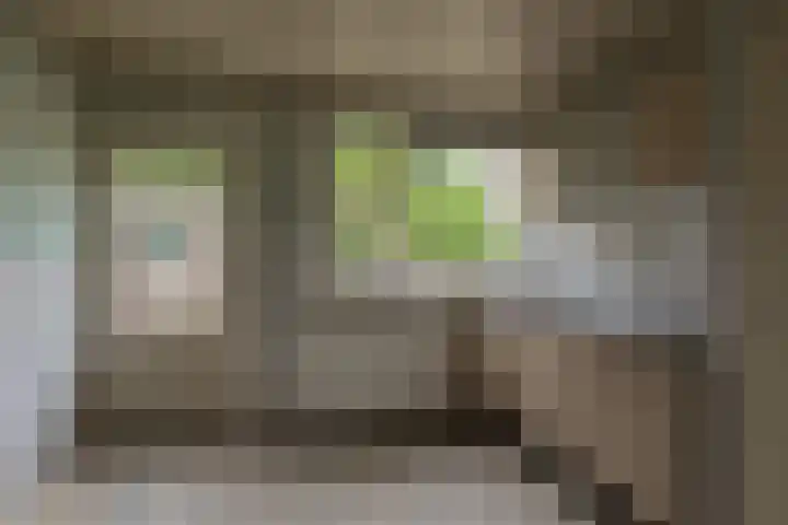 Crispijnstraat 2 Kaatsheuvel thumbnail 13