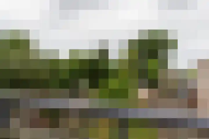Crispijnstraat 2 Kaatsheuvel thumbnail 20