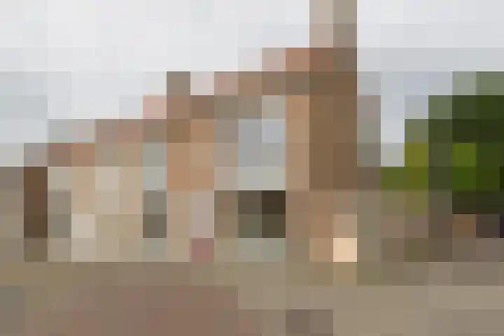 Crispijnstraat 2 Kaatsheuvel thumbnail 30