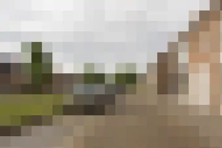 Crispijnstraat 2 Kaatsheuvel thumbnail 4