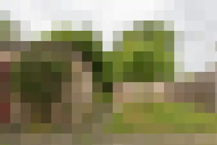 Crispijnstraat 2 Kaatsheuvel thumbnail 5