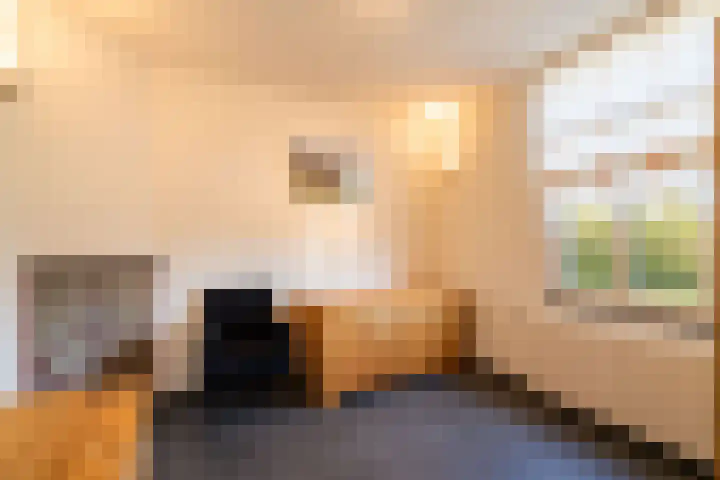 Crixstraat 14 Stramproy thumbnail 13