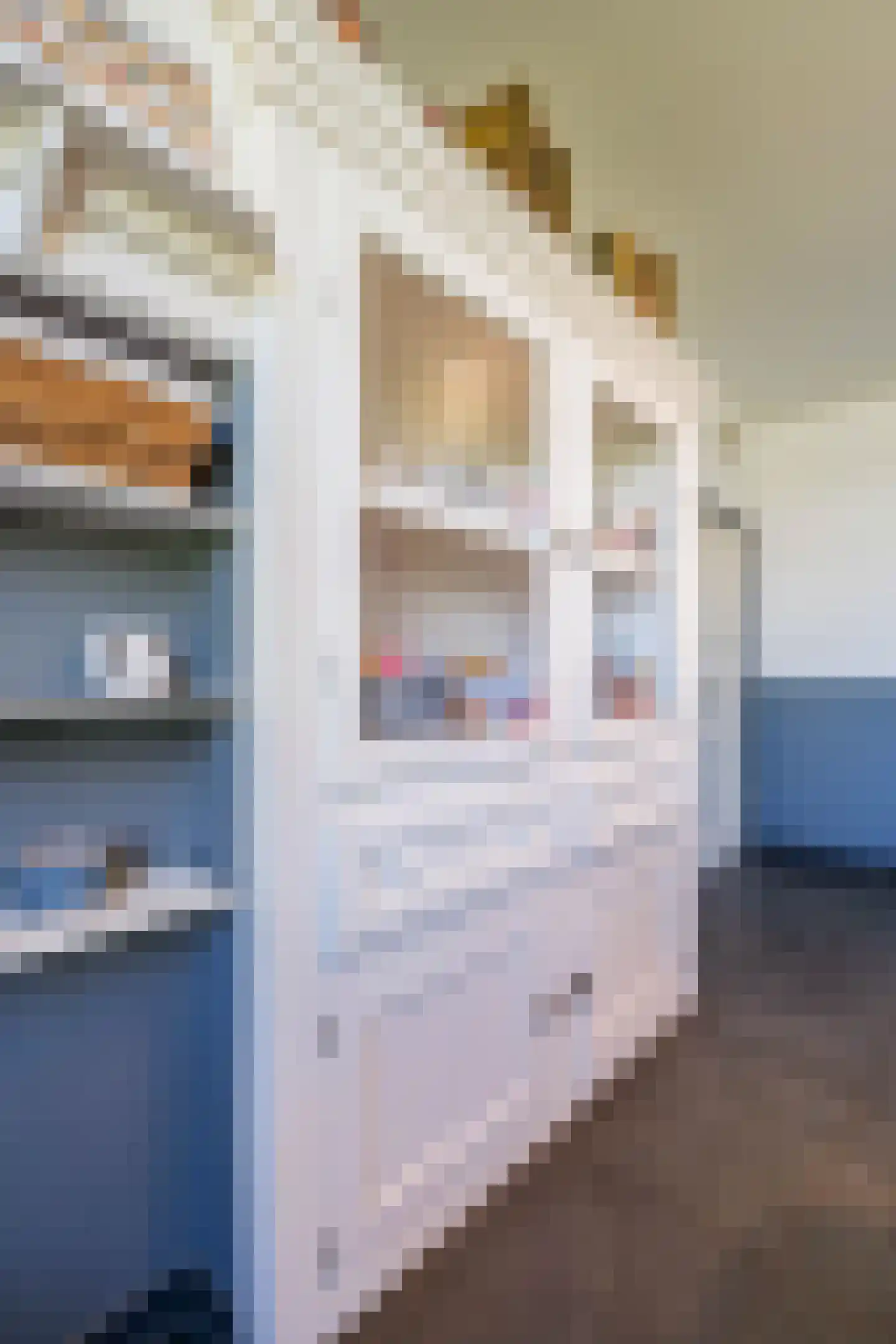 Crixstraat 14 Stramproy thumbnail 15