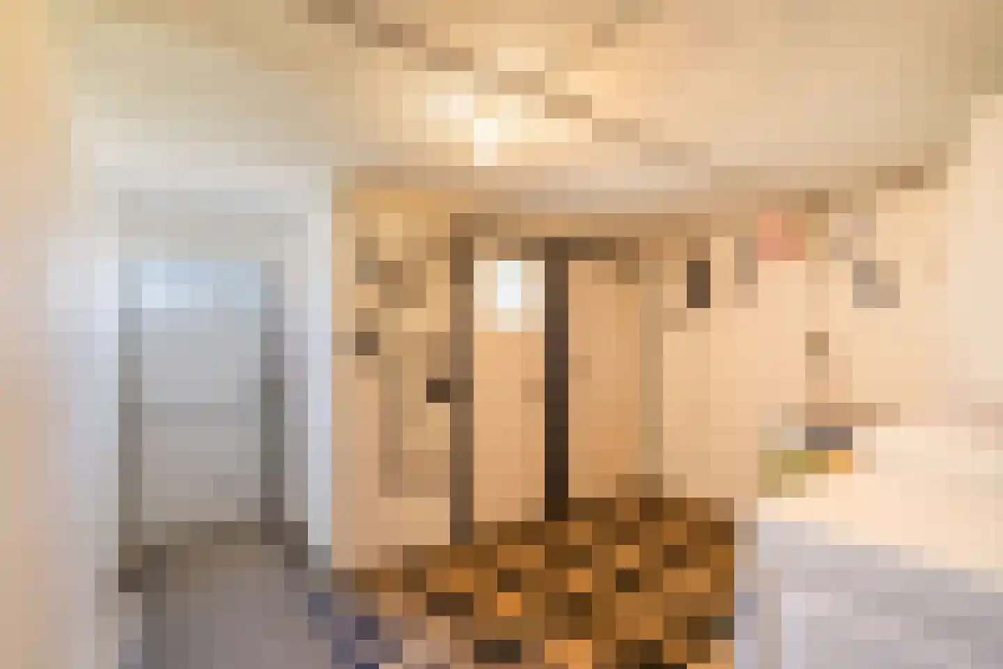 Crixstraat 14 Stramproy thumbnail 24