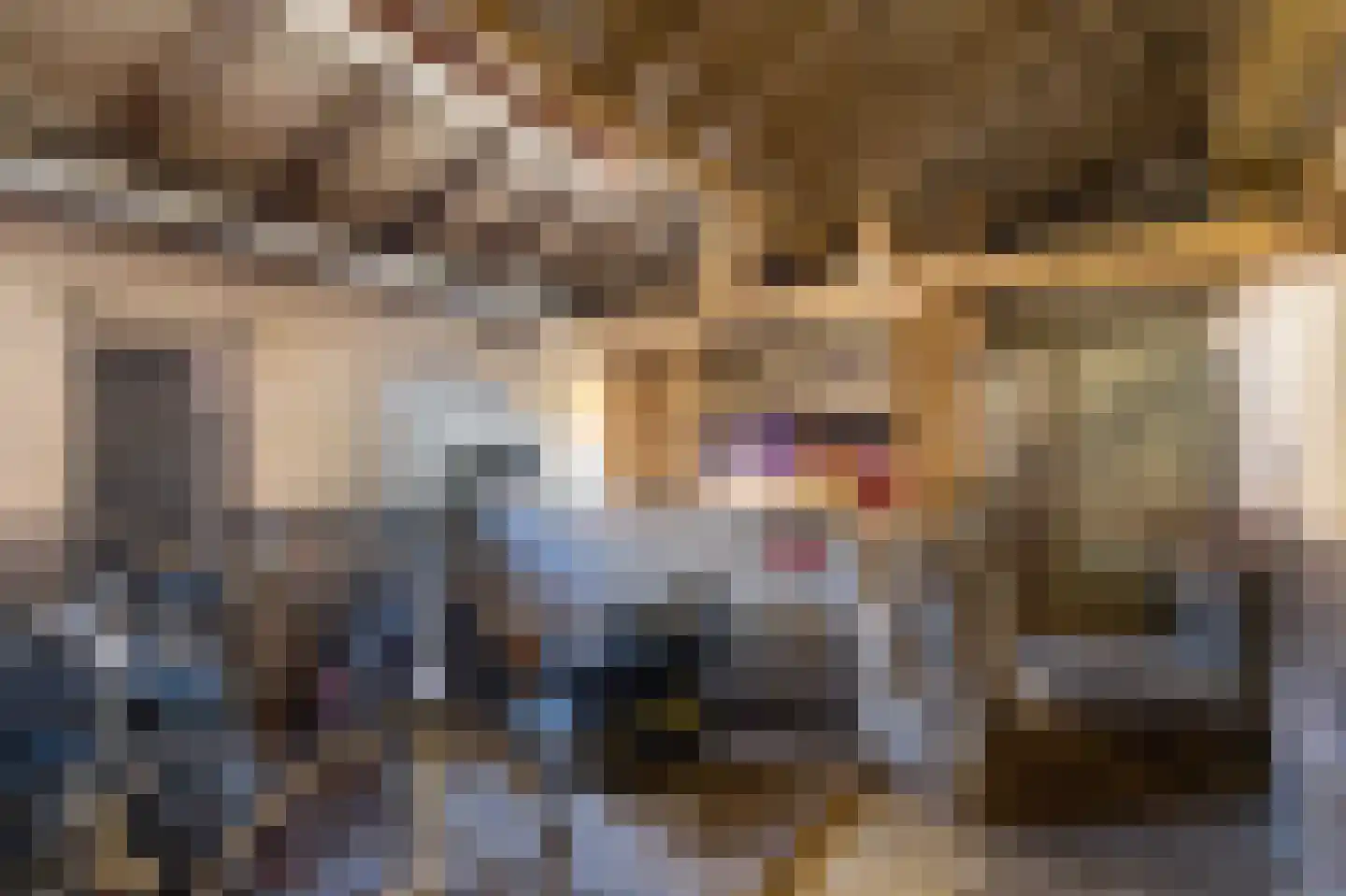 Crixstraat 14 Stramproy thumbnail 29