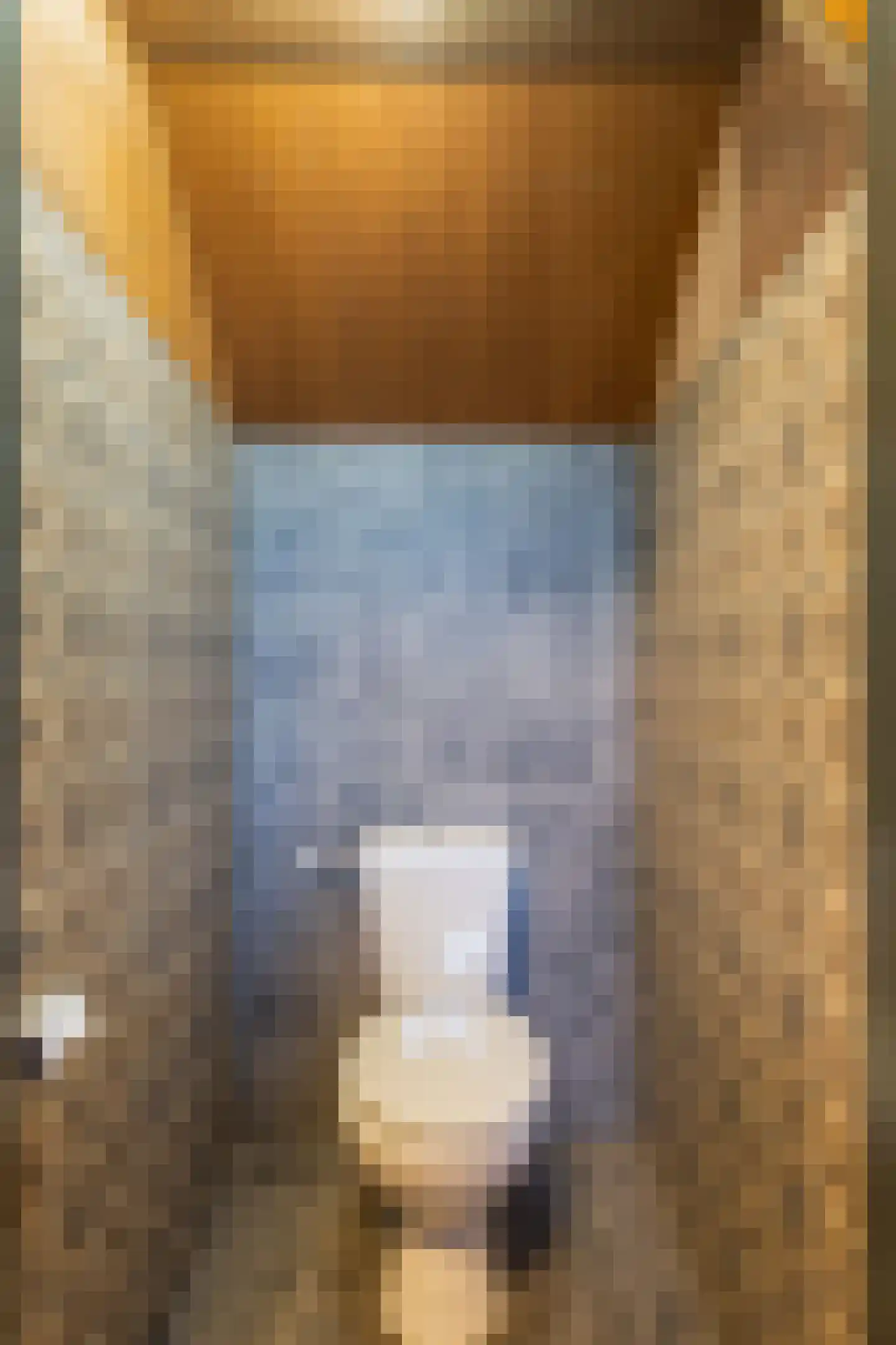 Crixstraat 14 Stramproy thumbnail 42