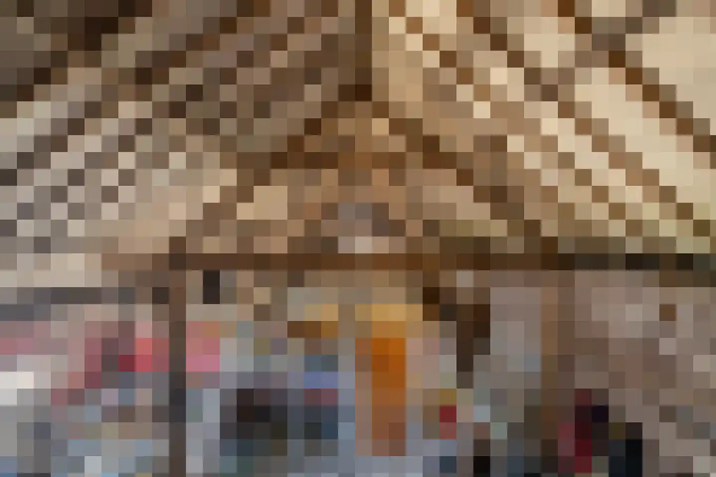 Crixstraat 14 Stramproy thumbnail 43
