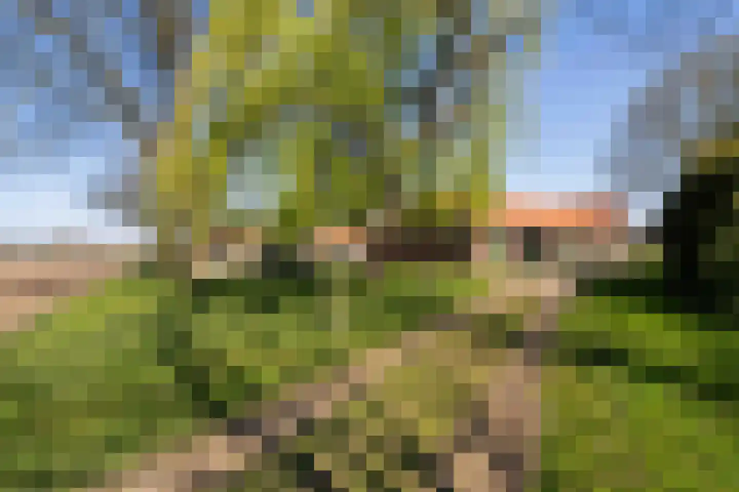 Crixstraat 14 Stramproy thumbnail 52