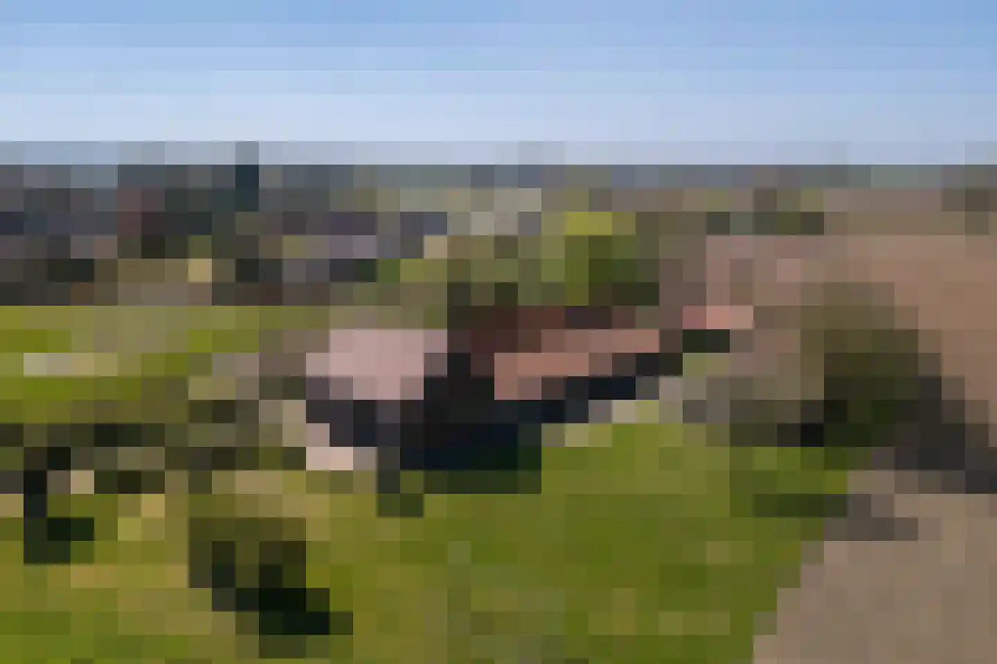 Crixstraat 14 Stramproy thumbnail 53