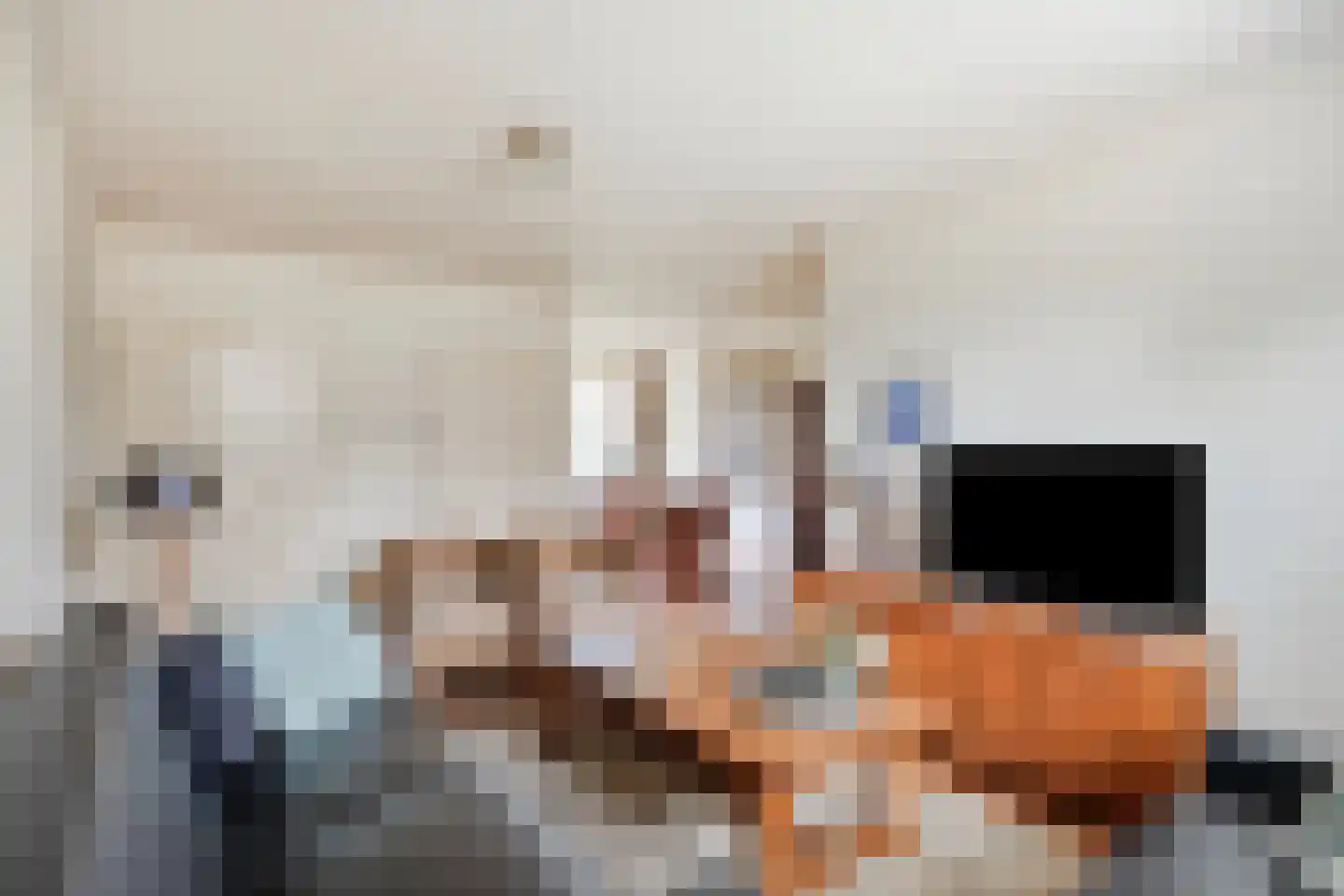Crixstraat 5 Stramproy thumbnail 11