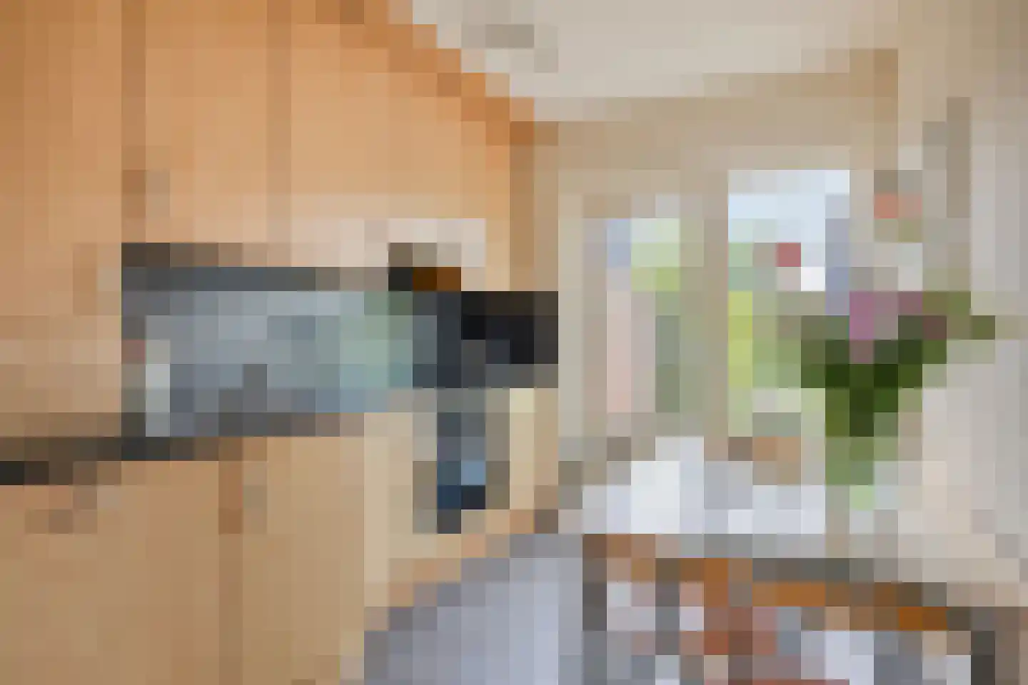 Crixstraat 5 Stramproy thumbnail 18