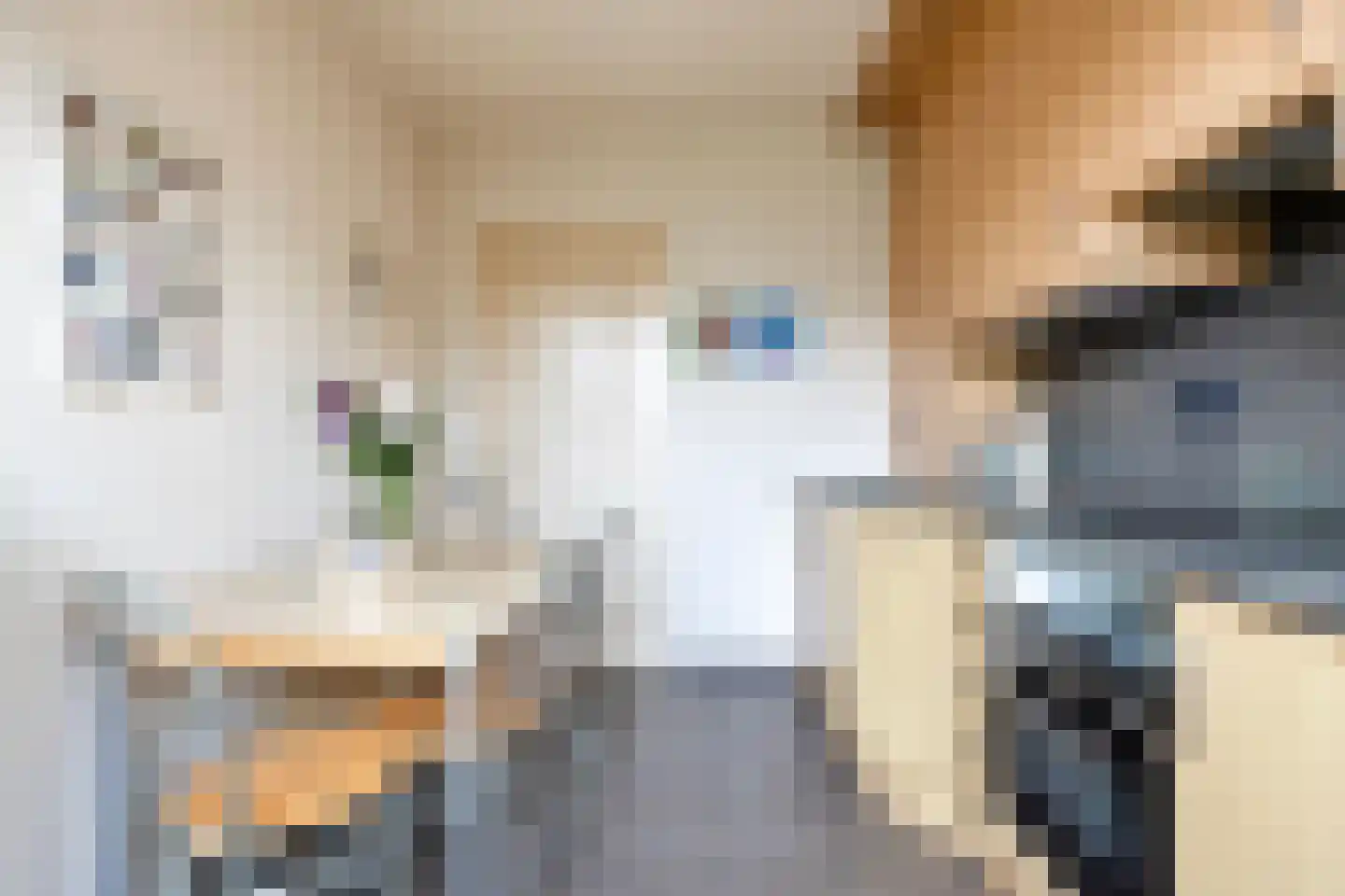 Crixstraat 5 Stramproy thumbnail 20