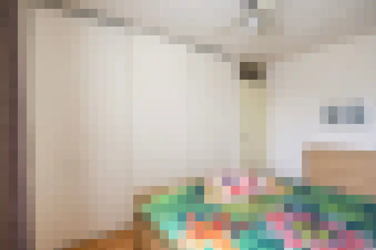 Crixstraat 5 Stramproy thumbnail 23