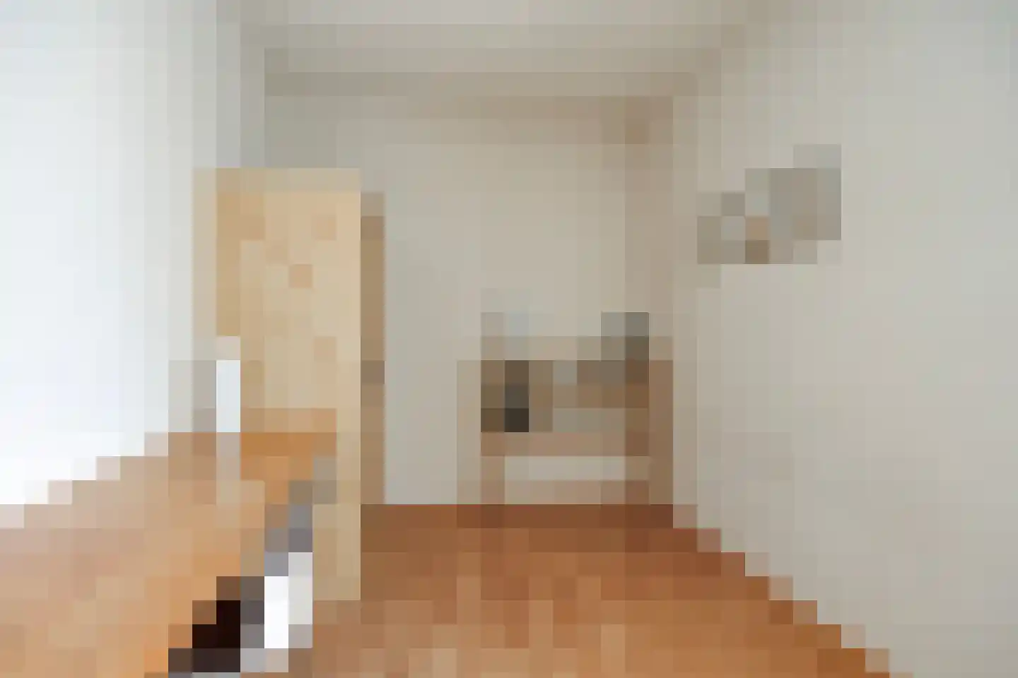 Crixstraat 5 Stramproy thumbnail 24