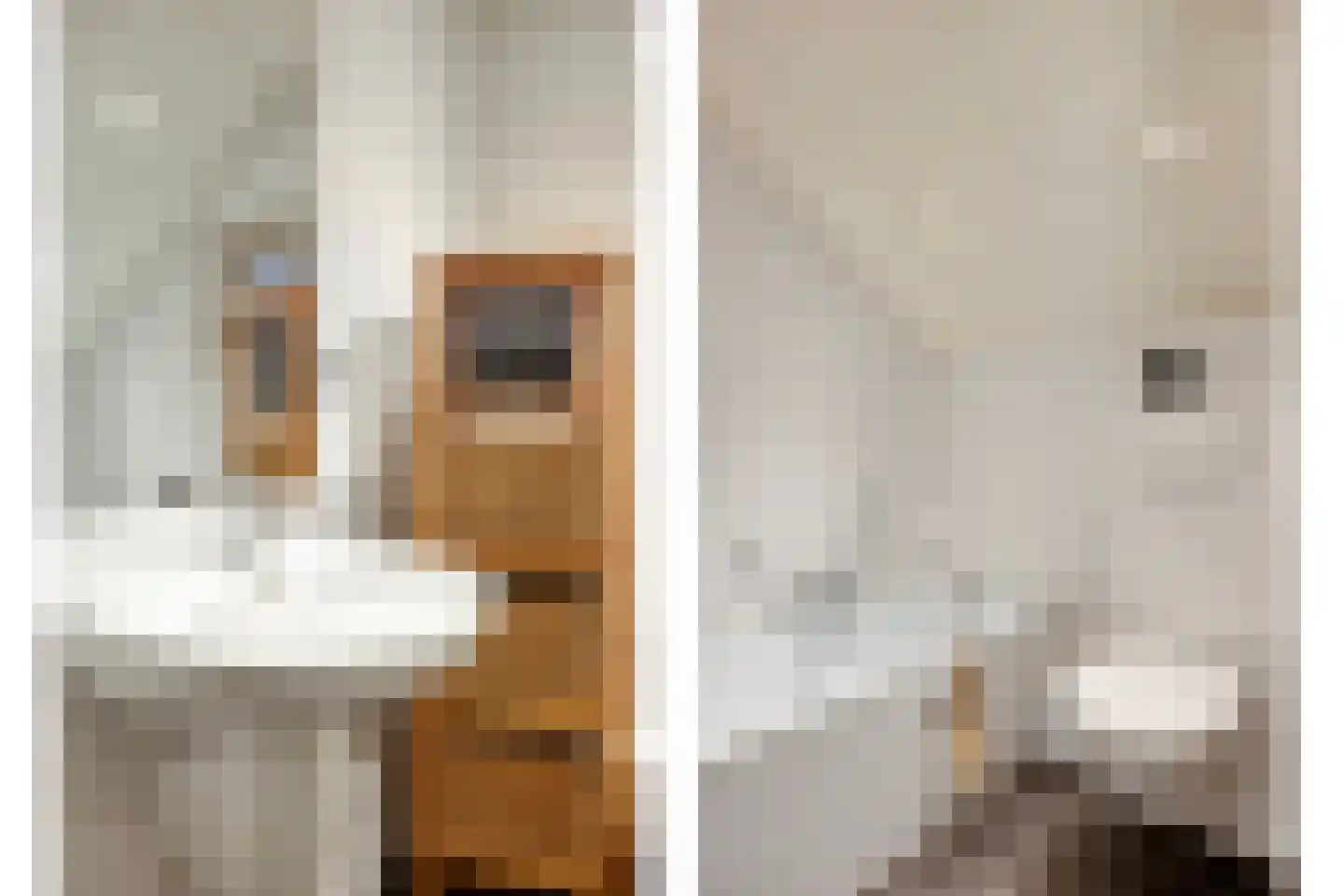 Crixstraat 5 Stramproy thumbnail 28