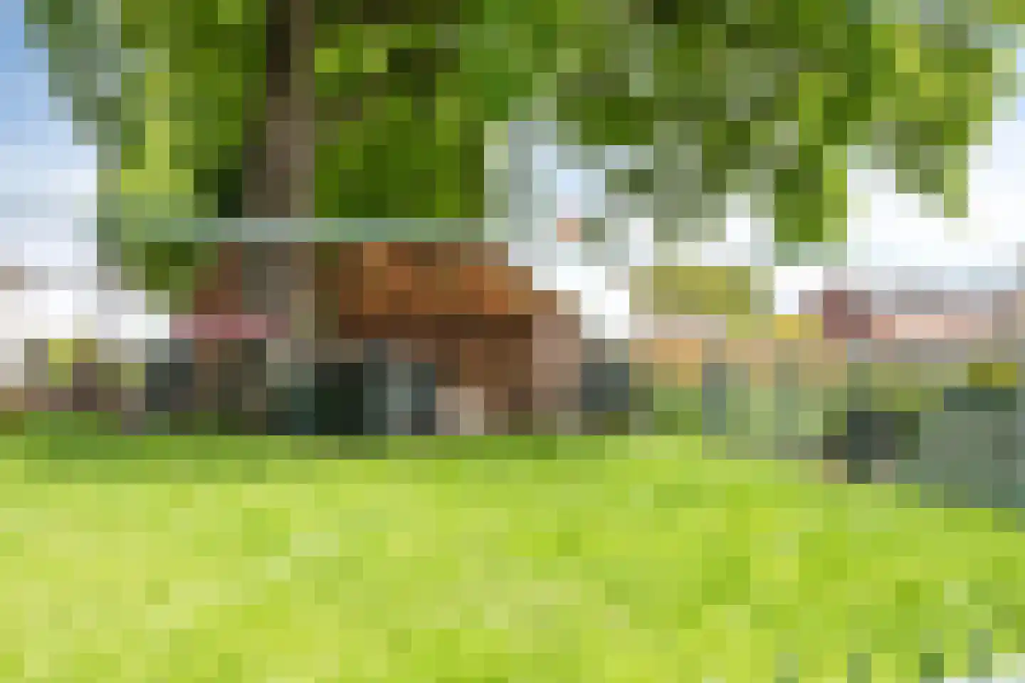Crixstraat 5 Stramproy thumbnail 47