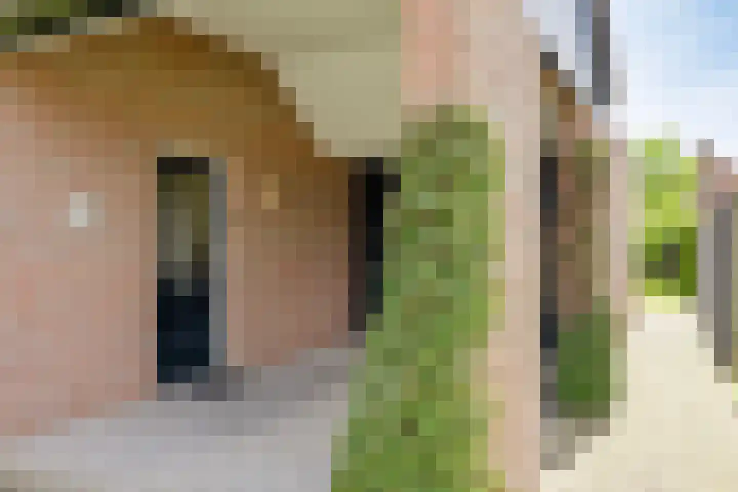 Crixstraat 5 Stramproy thumbnail 7