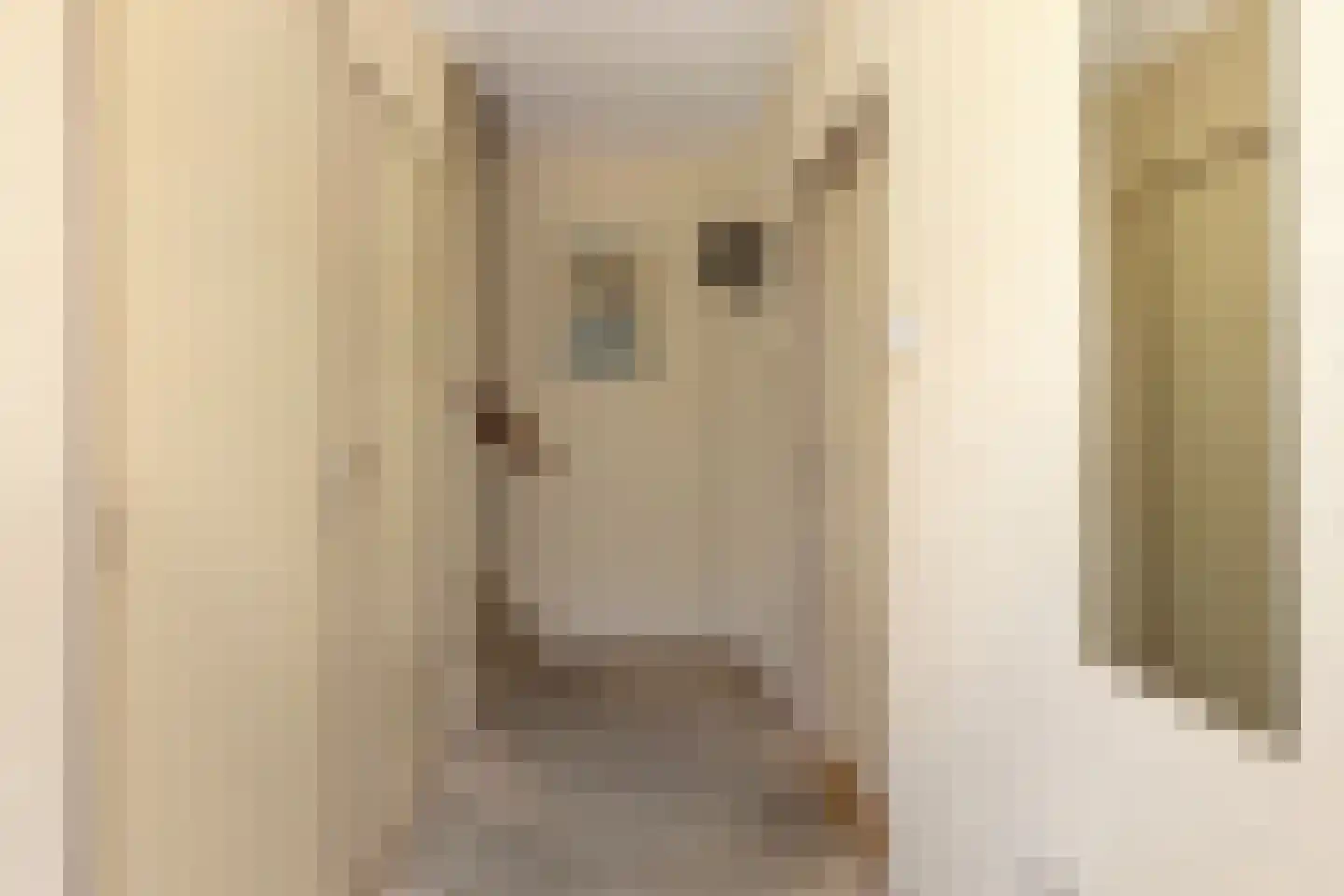 Crobseweg 12 Haaften thumbnail 12