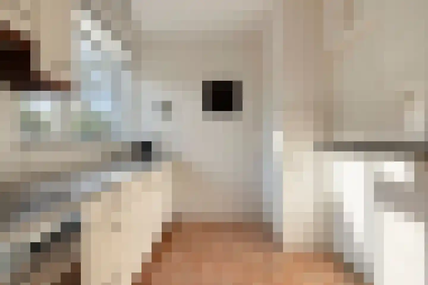 Crobseweg 12 Haaften thumbnail 18